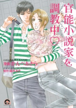 Manga - Manhwa - Kanô Shôsetsuka wo Chôkyûchû jp