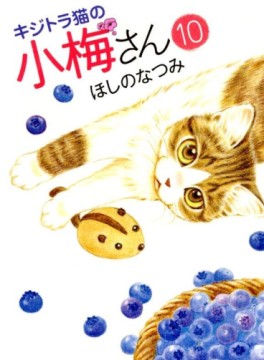 Manga - Manhwa - Kijitora Neko no Kôme-san jp Vol.10