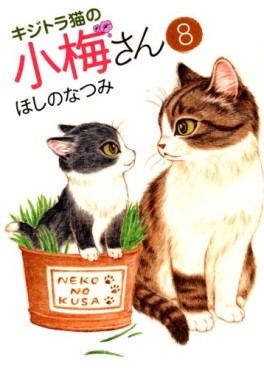 Manga - Manhwa - Kijitora Neko no Kôme-san jp Vol.8