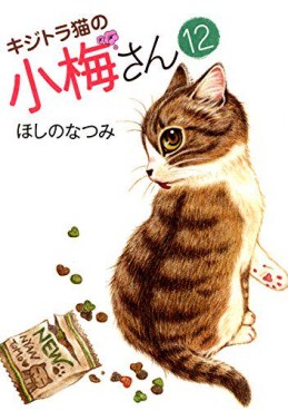 Manga - Manhwa - Kijitora Neko no Kôme-san jp Vol.12