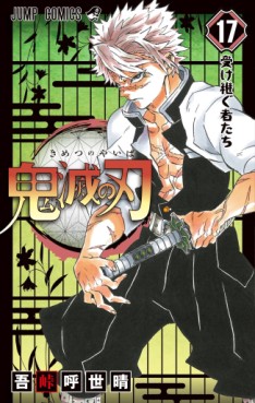 manga - Kimetsu no Yaiba jp Vol.17