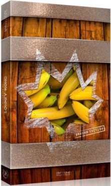 Manga - Manhwa - Histoire de Donkey Kong (l') - Banana Edition