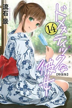 Manga - Manhwa - Domestic na Kanojo jp Vol.14