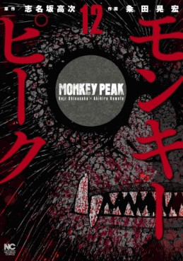 Monkey Peak jp Vol.12