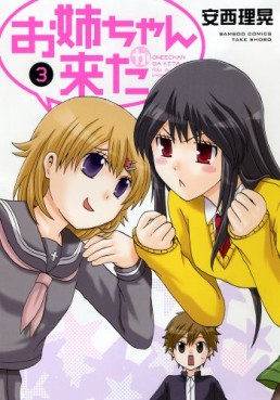 Manga - Manhwa - Oneechan ga kita jp Vol.3