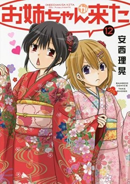 Manga - Manhwa - Oneechan ga kita jp Vol.12
