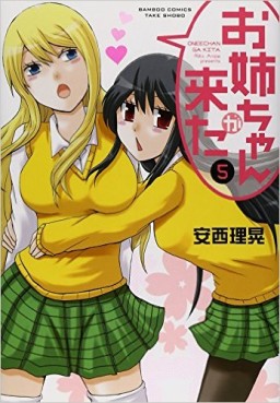 Manga - Manhwa - Oneechan ga kita jp Vol.5