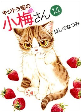 Manga - Manhwa - Kijitora Neko no Kôme-san jp Vol.14