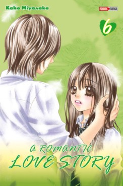 manga - A romantic love story Vol.6