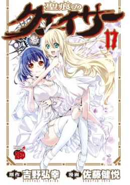 Manga - Manhwa - Seikon no Qwaser jp Vol.17