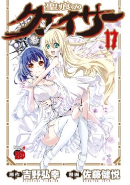Manga - Manhwa - Seikon no Qwaser jp Vol.17