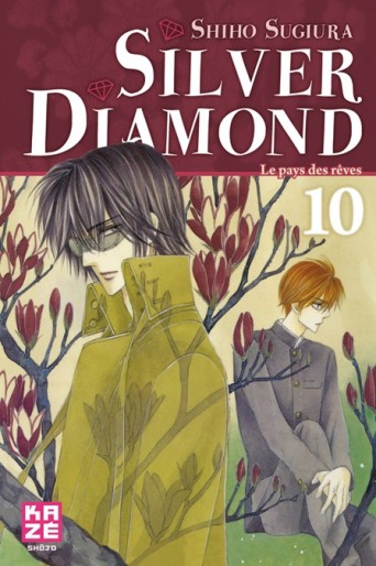 Manga - Manhwa - Silver Diamond Vol.10