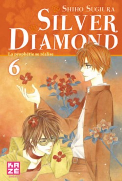 Manga - Manhwa - Silver Diamond Vol.6