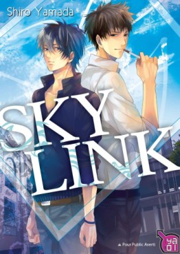 Manga - Manhwa - Sky Link