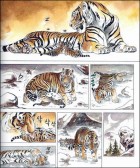 Image supplémentaire © 2006 by Ahn Soo-Gil / Bada Publishing Co.