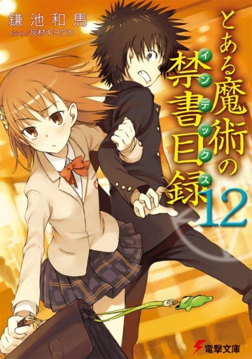 Manga - Manhwa - To Aru Majutsu no Index - Light novel jp Vol.12