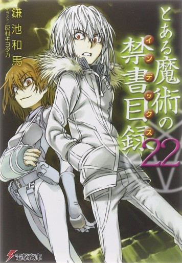 Manga - Manhwa - To Aru Majutsu no Index - Light novel jp Vol.22
