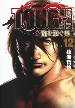Manga - Manhwa - Tough Gaiden – Ryû wo Tsugu Otoko jp Vol.12