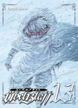 Manga - Übel Blatt Vol.13