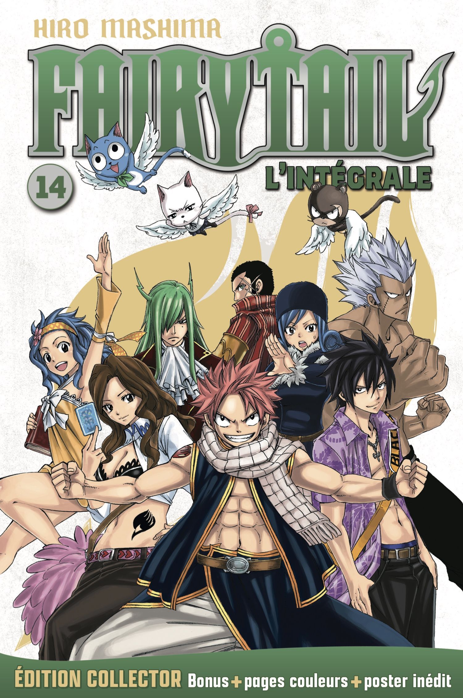 Fairy Tail Collection Intégrale Manga Vol.14 Fairy Tail - Hachette collection - Manga - Manga news