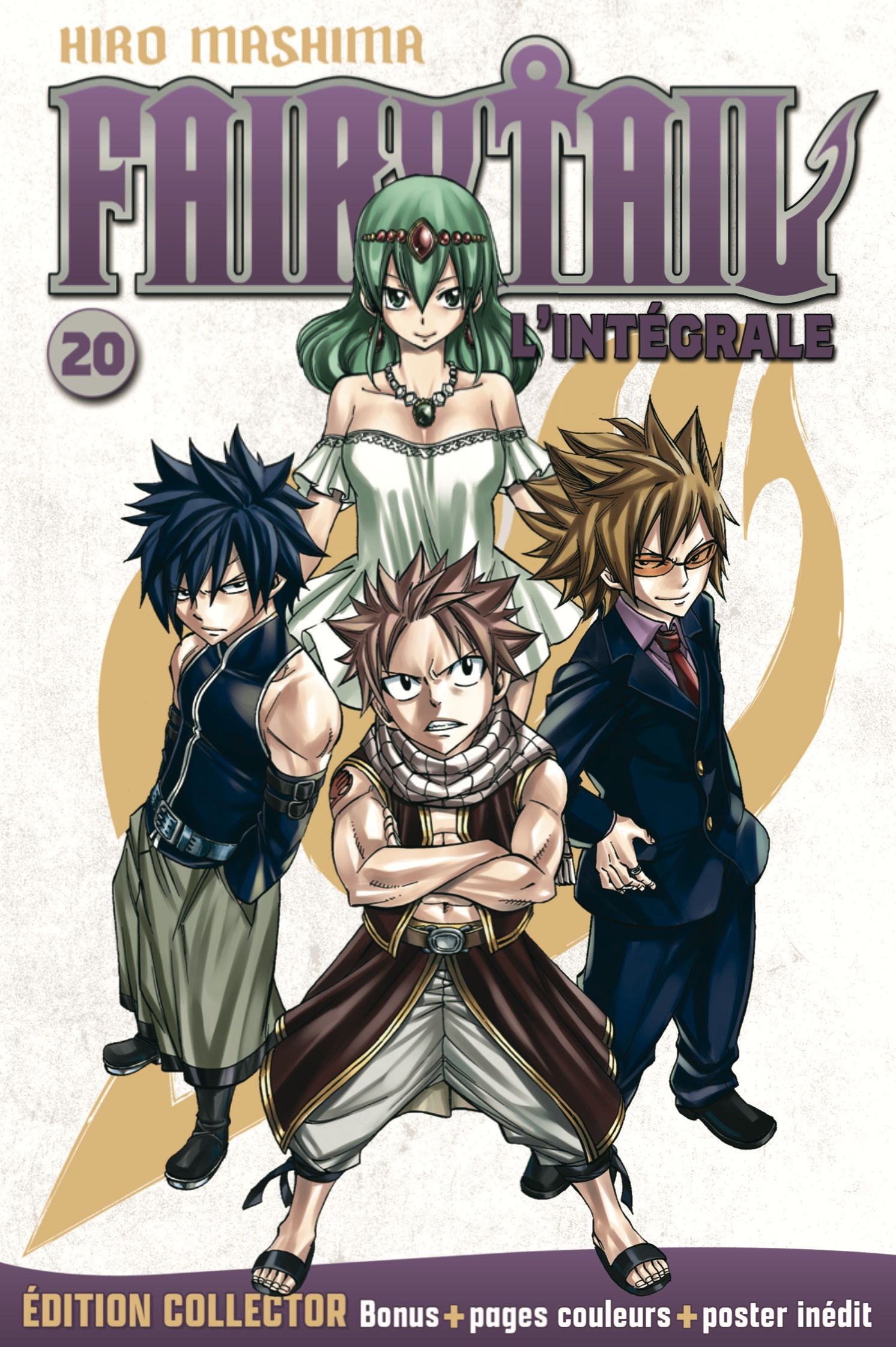 Fairy Tail Collection Intégrale Manga Vol.20 Fairy Tail - Hachette collection - Manga - Manga news