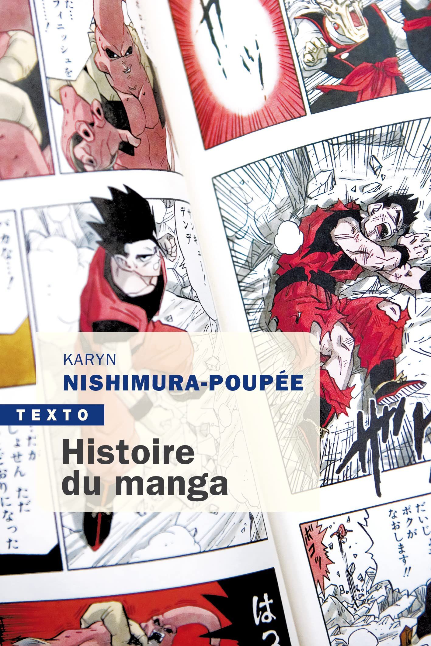 Histoire du manga