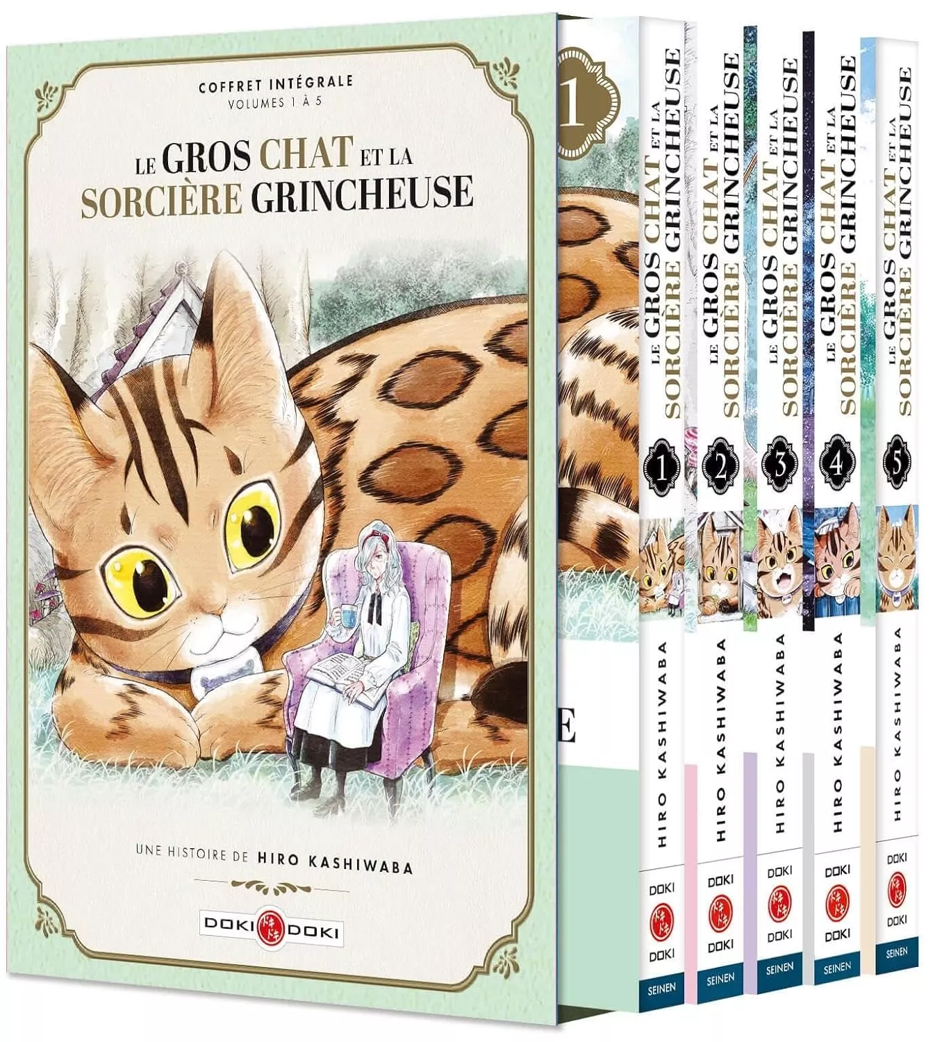 Gros Chat et la Sorcière grincheuse (le) - Coffret Intégrale
