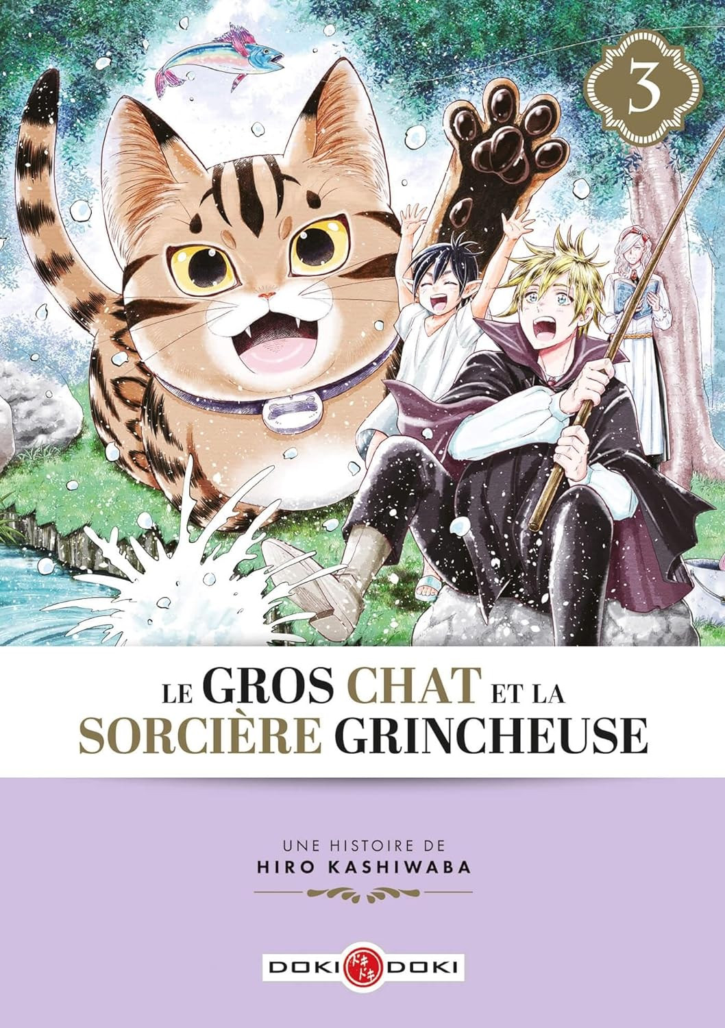 Gros Chat et la Sorcière grincheuse (le) Vol.3