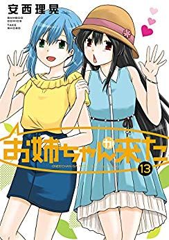 Manga - Manhwa - Oneechan ga kita jp Vol.13