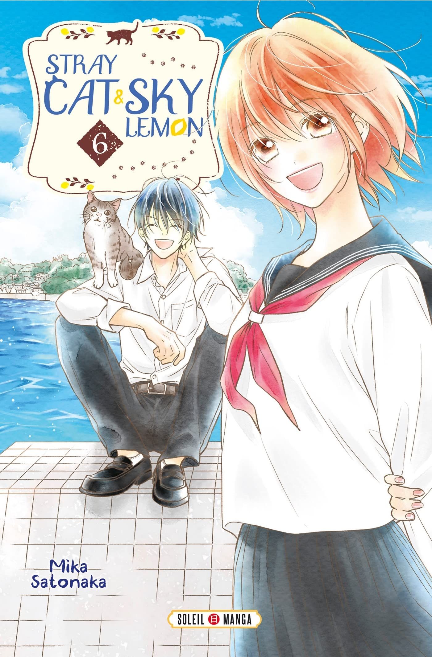 Stray cat and sky lemon Vol.6