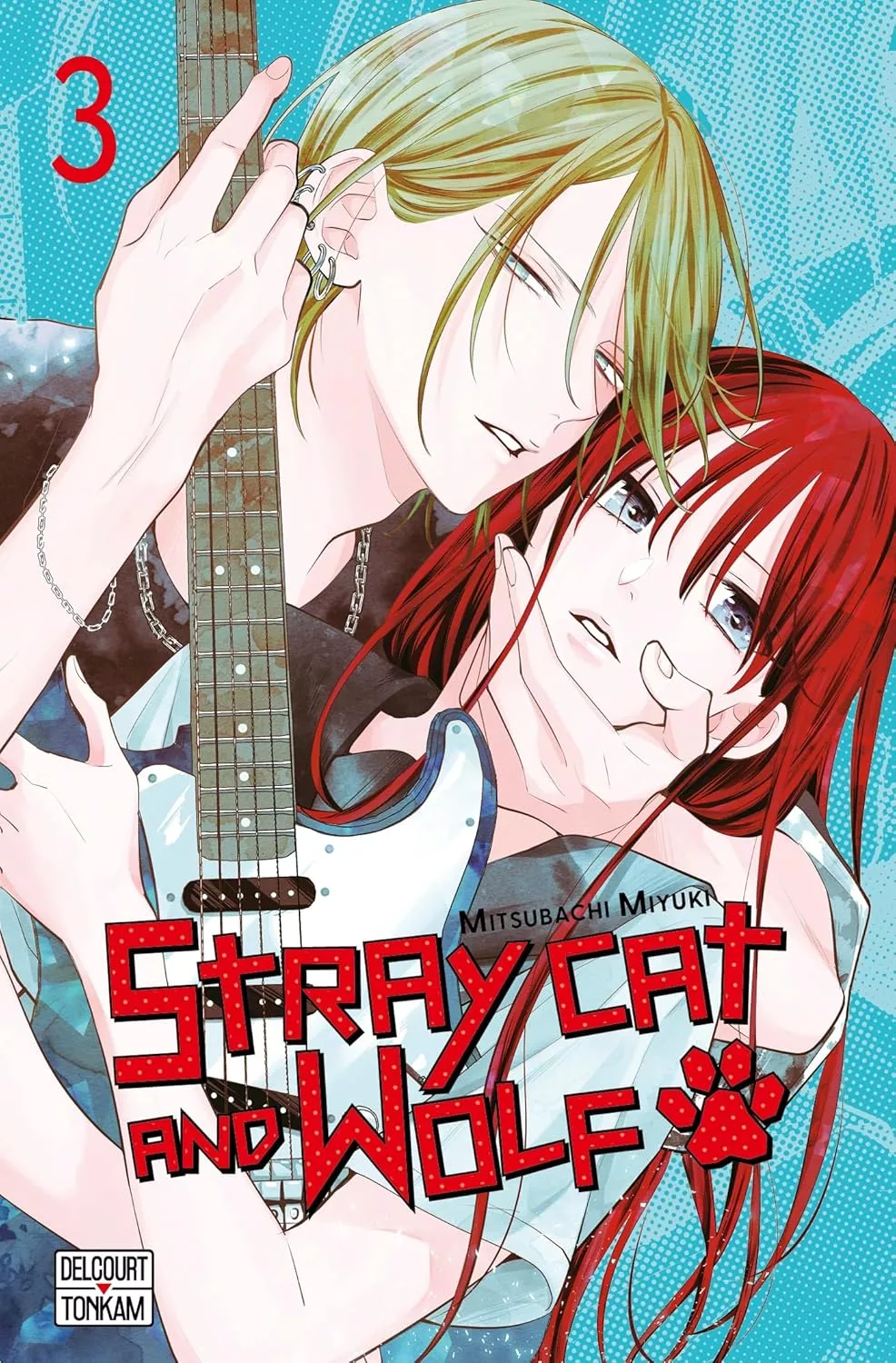Stray cat and wolf Vol.3