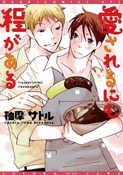 Manga - Manhwa - Ai Sareru nimo Hodo ga Aru jp