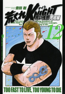 Manga - Manhwa - Arakure Knight 3 - Kuroi Zankyo - Kanketsu-hen jp Vol.12
