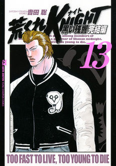 Manga - Manhwa - Arakure Knight 3 - Kuroi Zankyo - Kanketsu-hen jp Vol.13