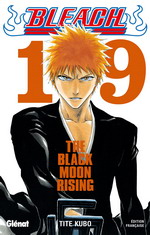 Mangas - Bleach Vol.19