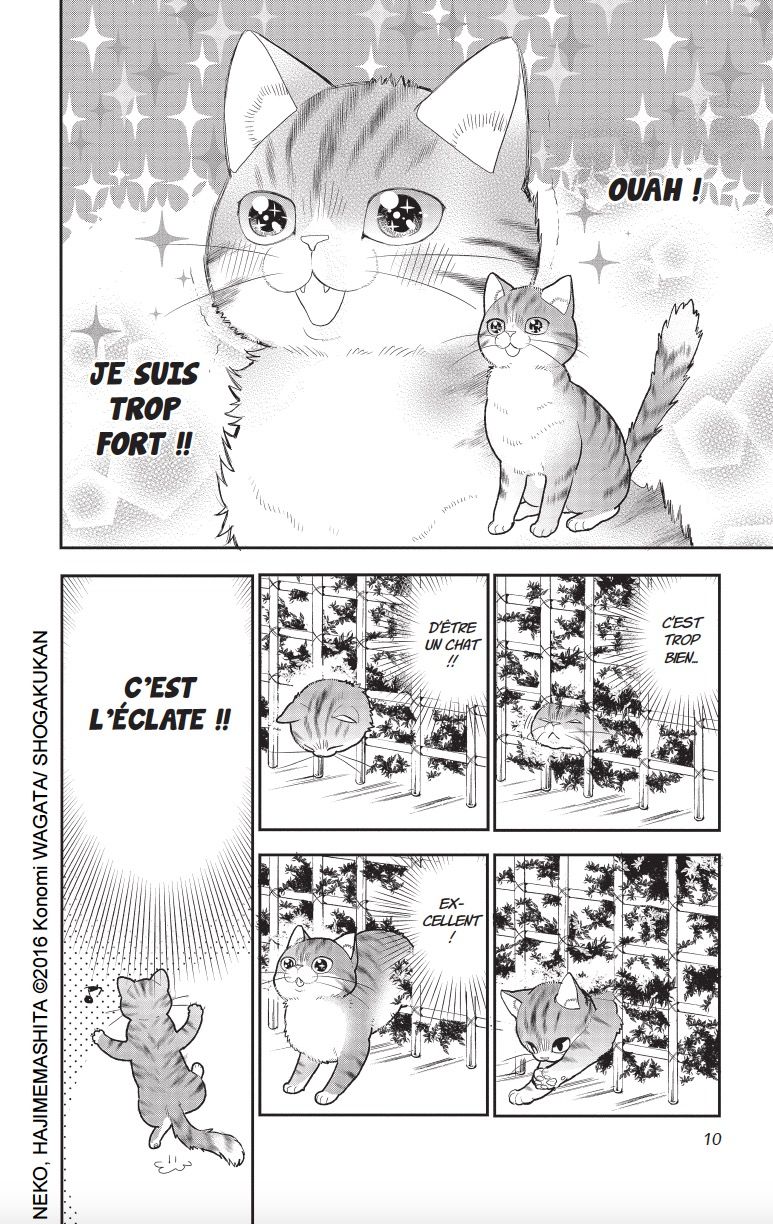 Chat malgré moi