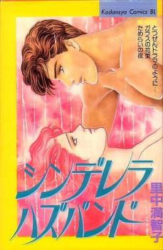 Manga - Manhwa - Cinderella Husband jp