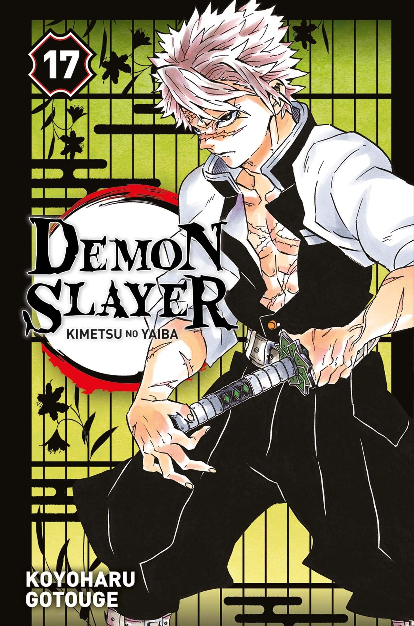Vol.17 Demon Slayer Manga Manga news