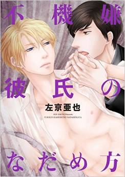 Manga - Kuroneko Kareshi no Nadamekata jp