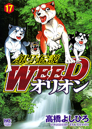 Manga - Manhwa - Ginga Densetsu Weed Orion jp Vol.17