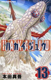 Manga - Manhwa - Hakaijû jp Vol.13