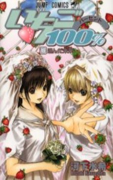 Manga - Manhwa - Ichigo 100% jp Vol.19