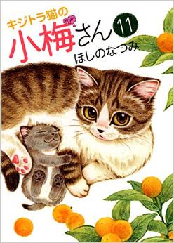 Manga - Manhwa - Kijitora Neko no Kôme-san jp Vol.11