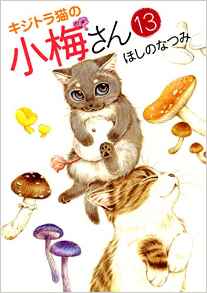 Manga - Manhwa - Kijitora Neko no Kôme-san jp Vol.13