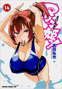Manga - Manhwa - Maken-Ki! jp Vol.14
