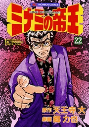 Manga - Manhwa - Minami no Teiô jp Vol.22