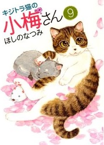 Manga - Manhwa - Kijitora Neko no Kôme-san jp Vol.9
