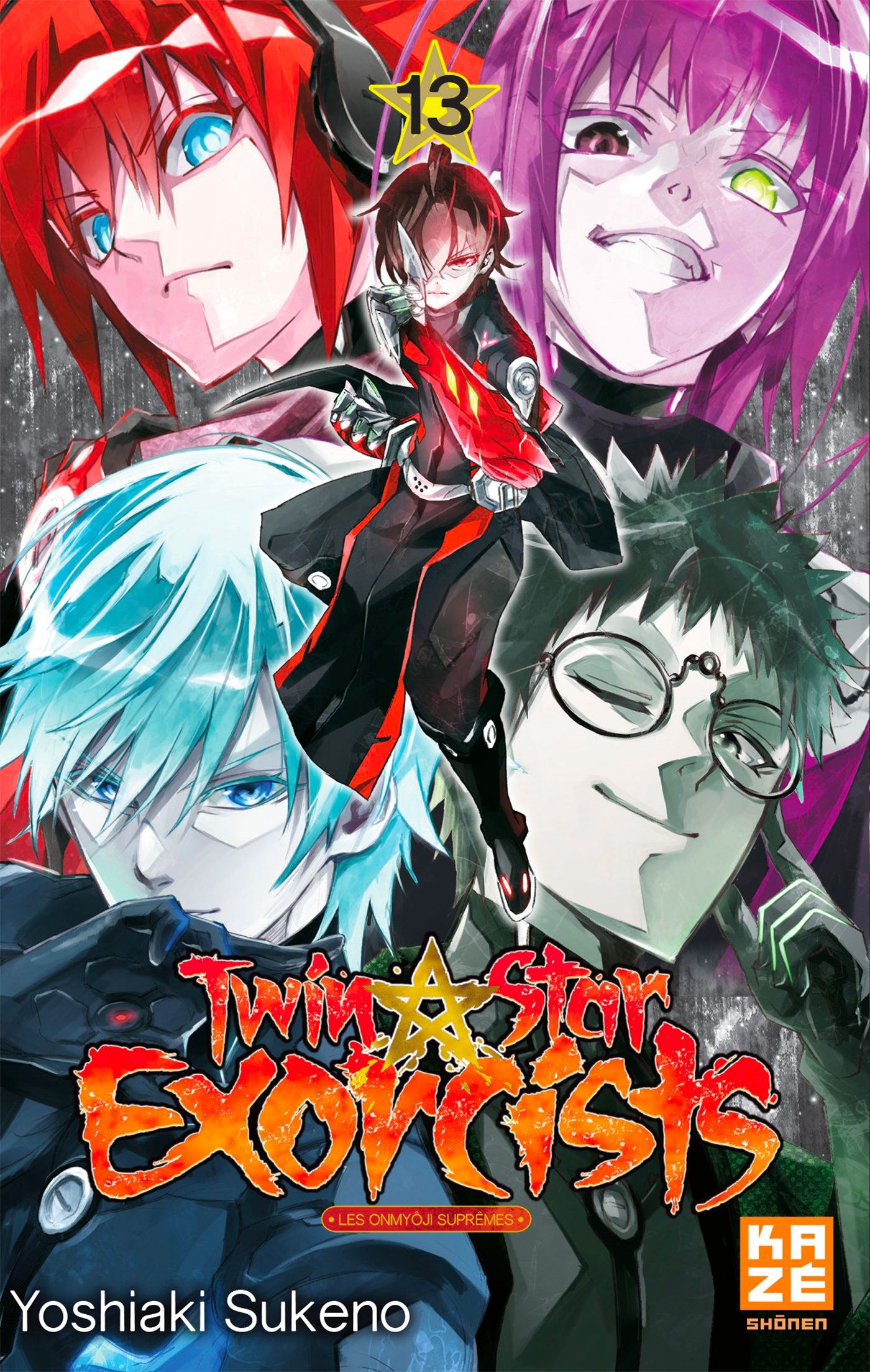 Twin Star Exorcists Vol.13