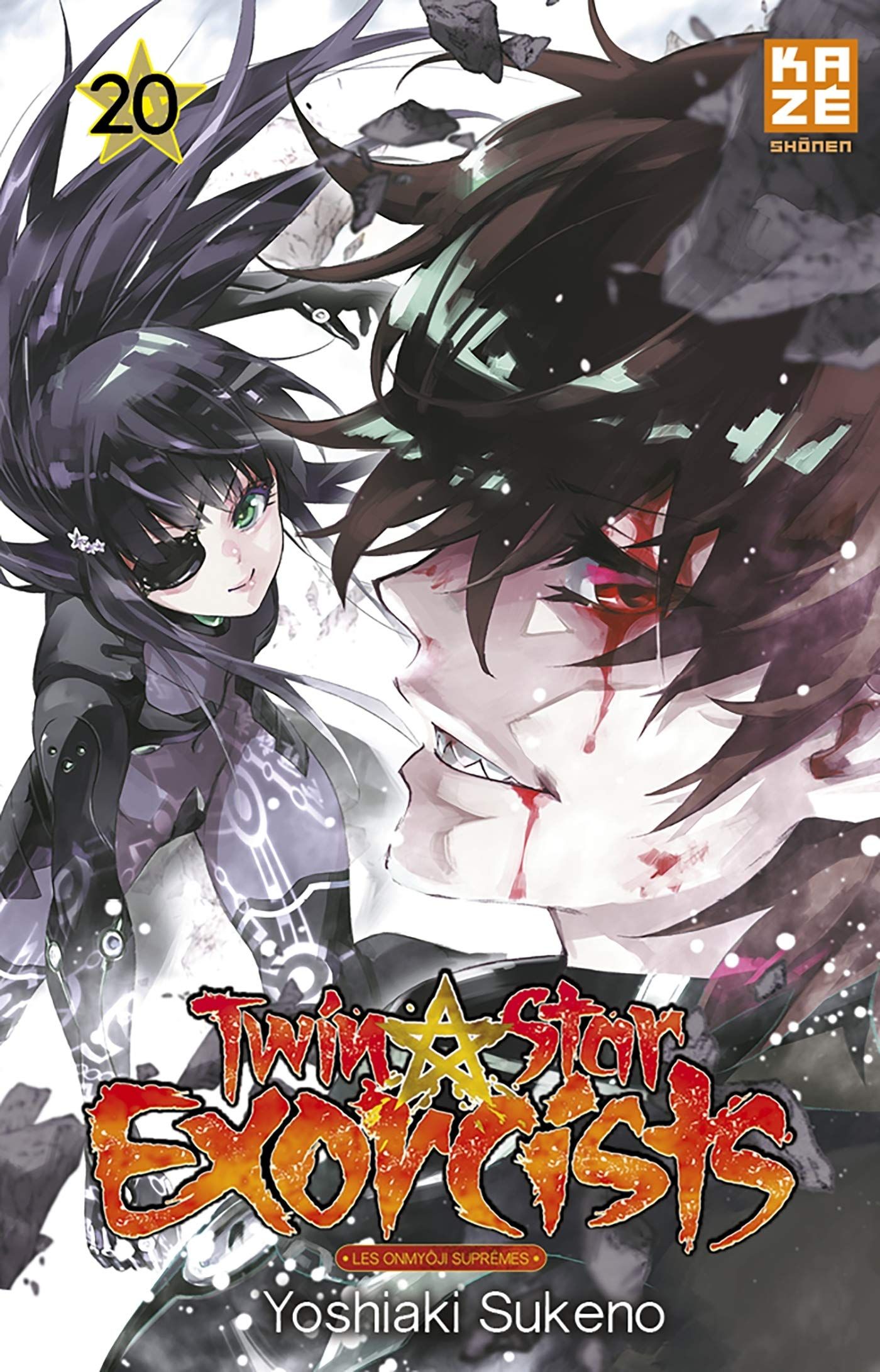 Twin Star Exorcists Vol.20