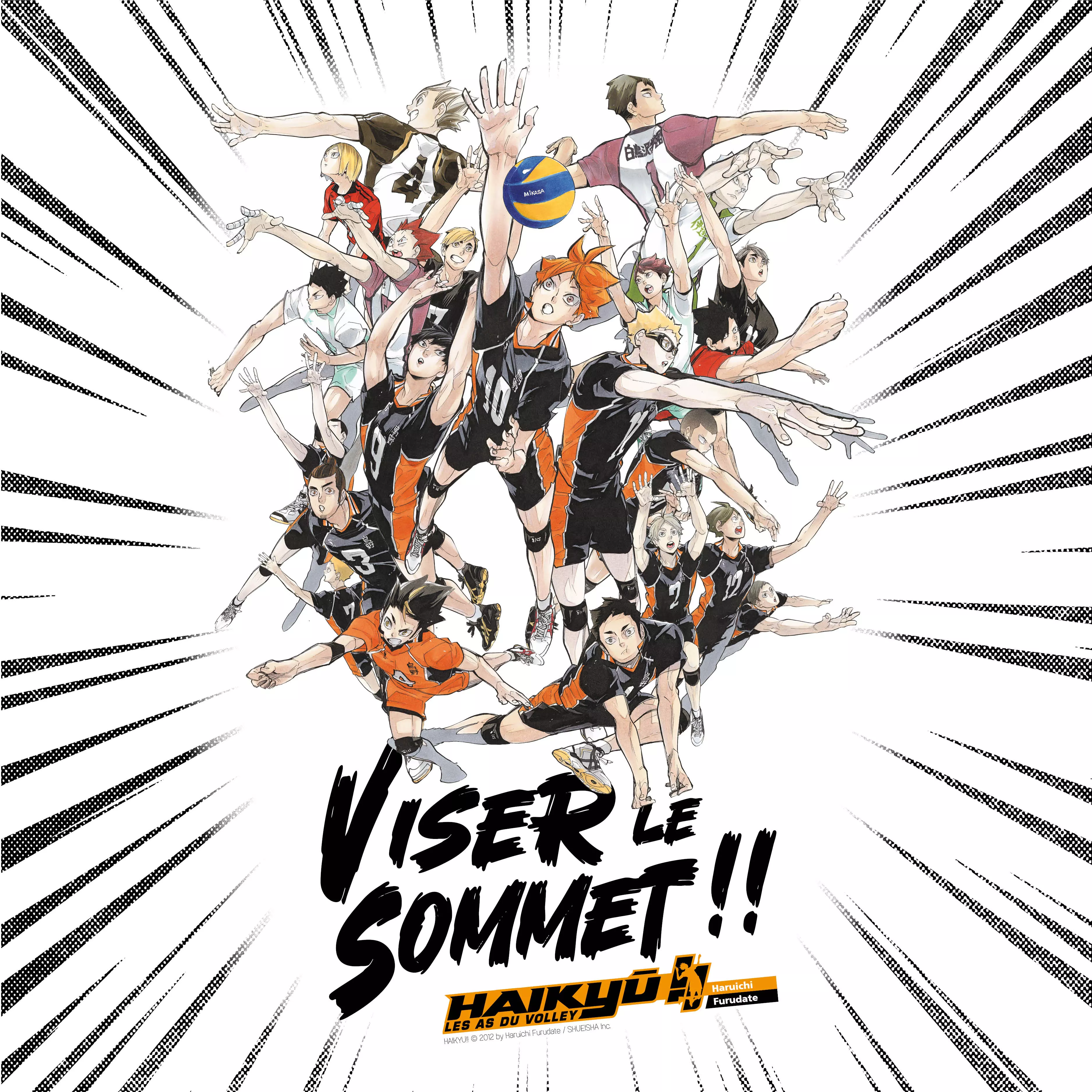 Exposition Haikyu - Viser le sommet !!